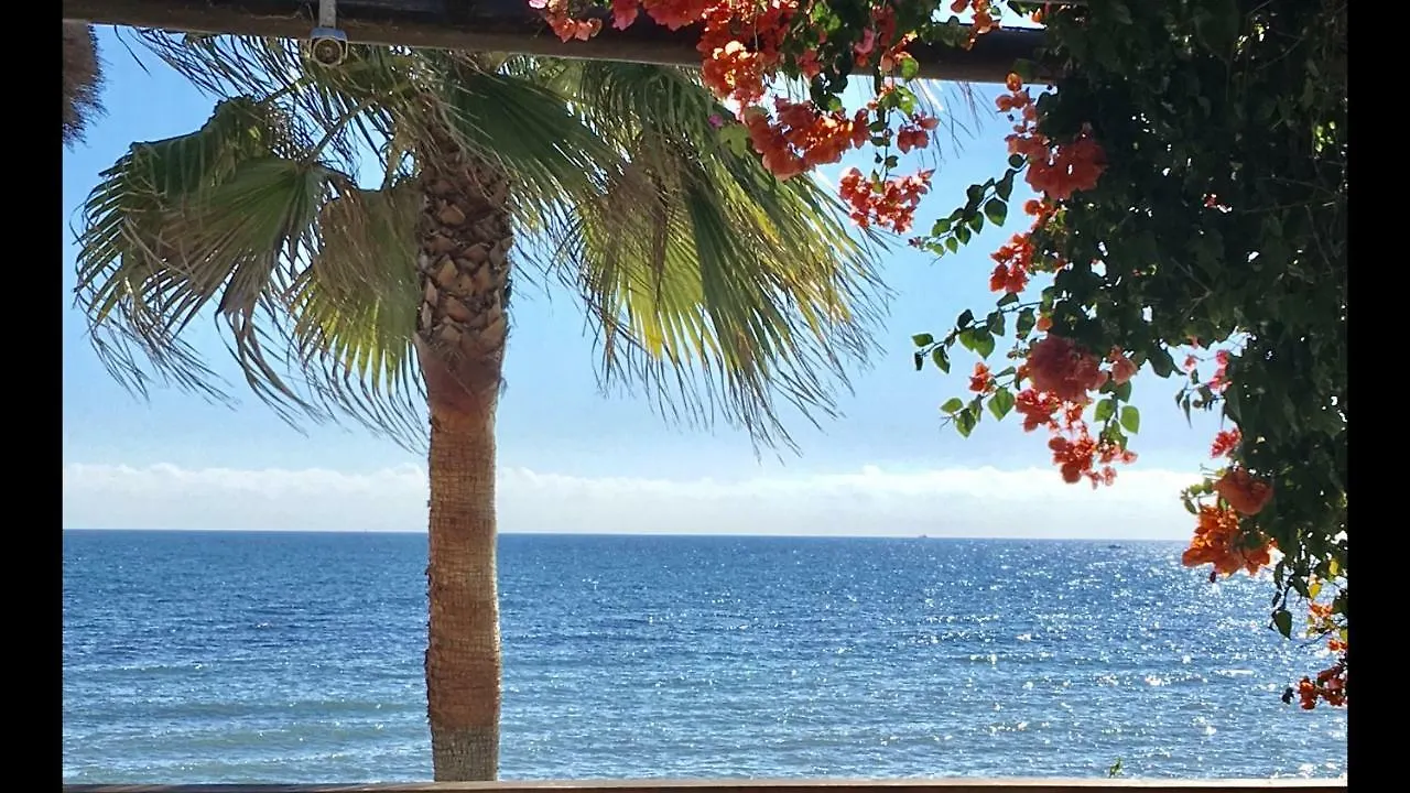 Mi Capricho 9B Beachfront- Apartment With Sea View - Costa Del Sol Sitio de Calahonda